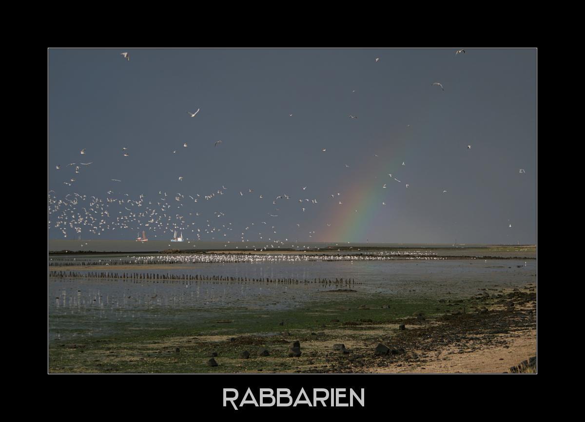 Regenbogen am Wattenmeer