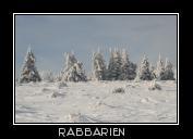 Schnee im Harz
