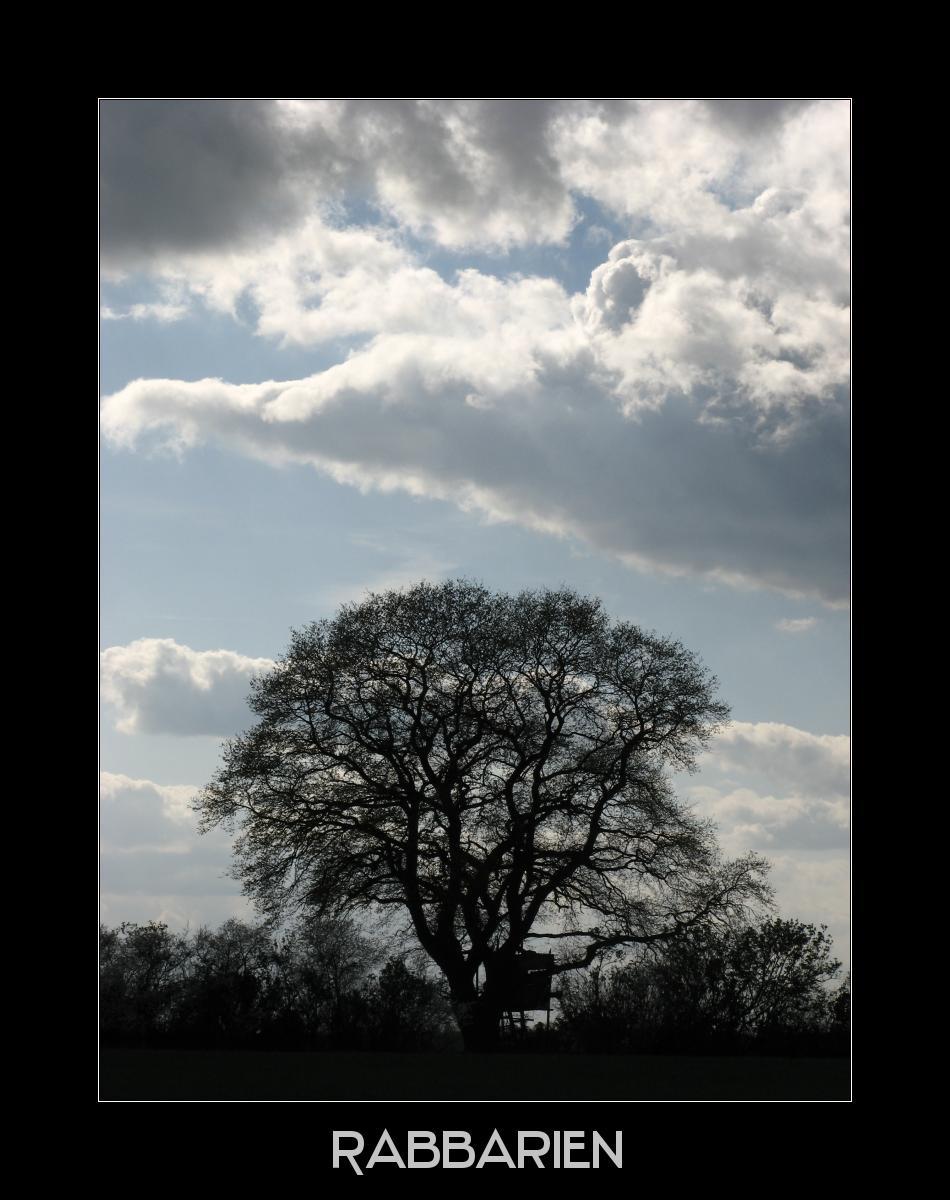 Baum und dicke Wolken
