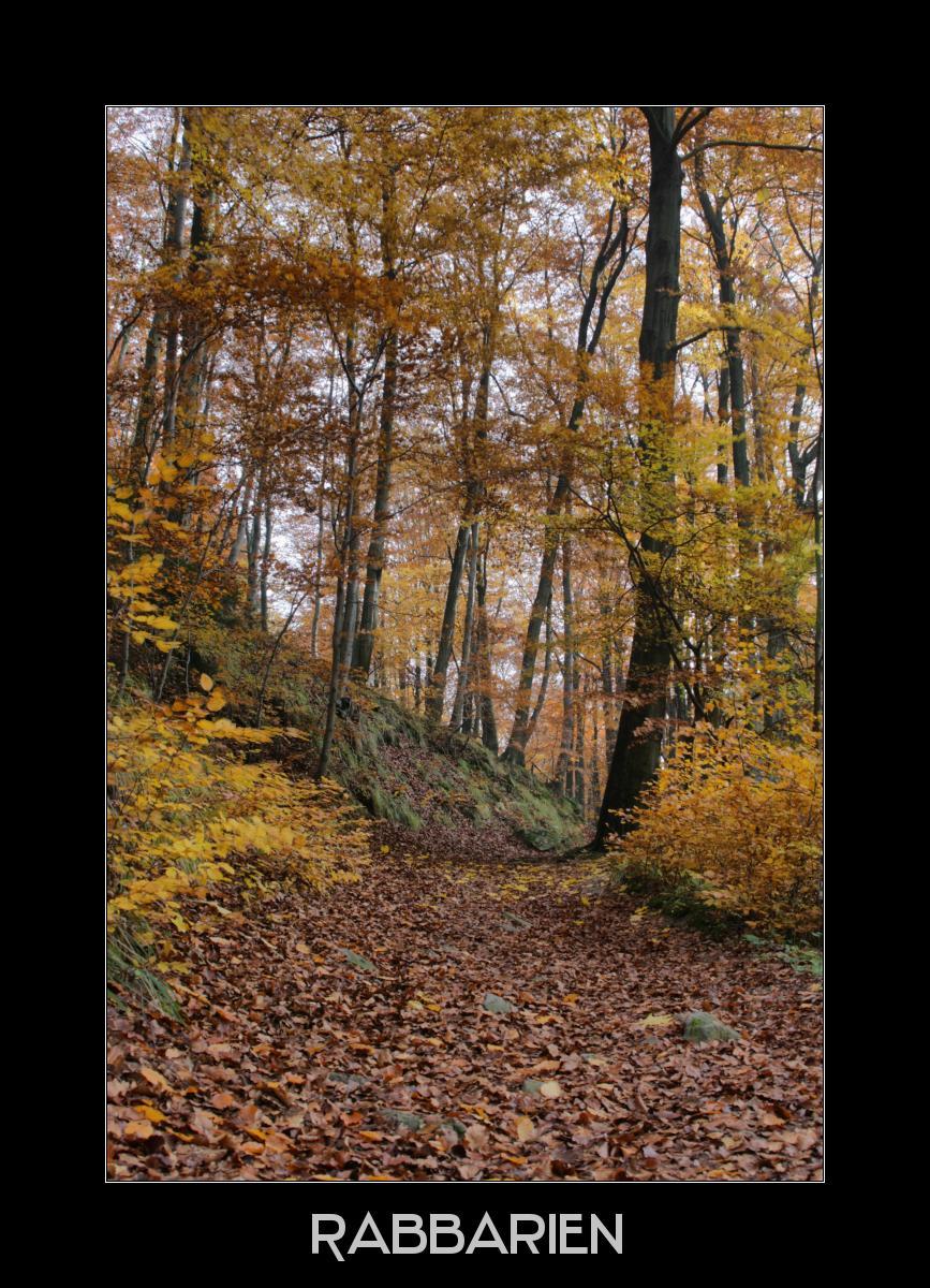 Harz im Herbst