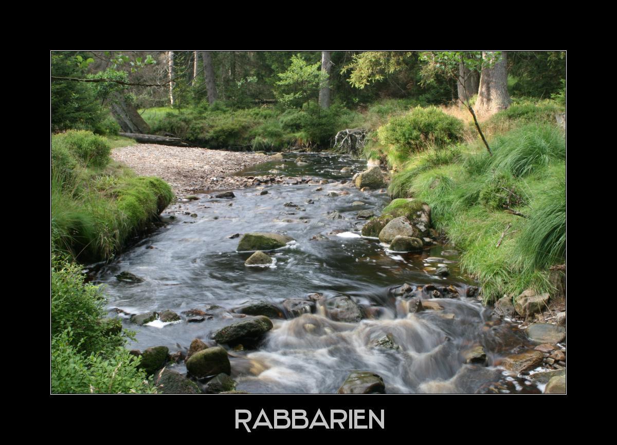 Fluß im Harz