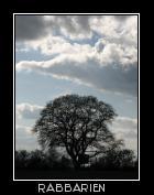 Baum und dicke Wolken