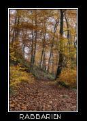 Harz im Herbst