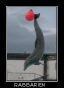 Delfin beim Ballspiel
