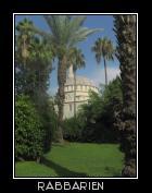 Moschee und Palmen