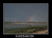 Regenbogen am Wattenmeer