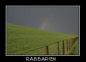 Regenbogen am Deich